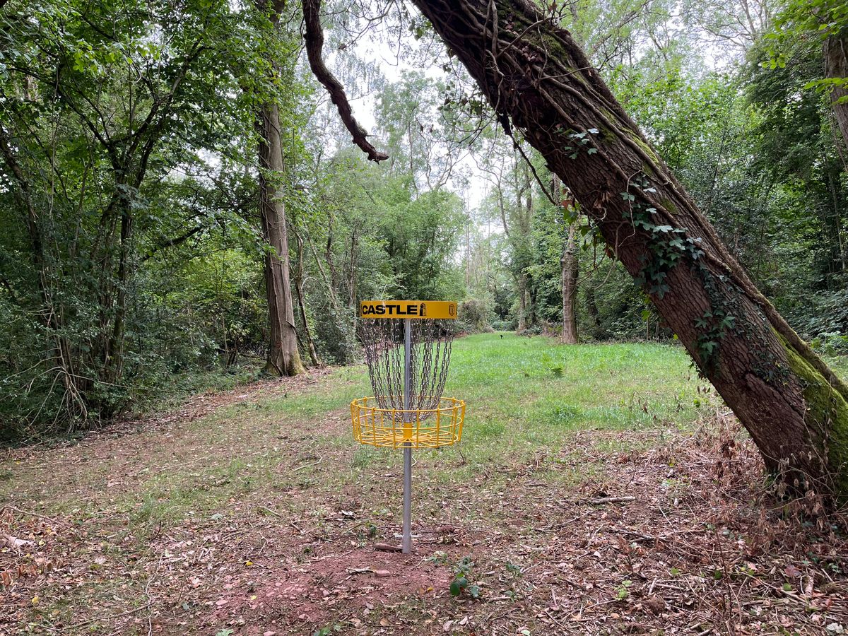 Basket 3 looking back up fairway