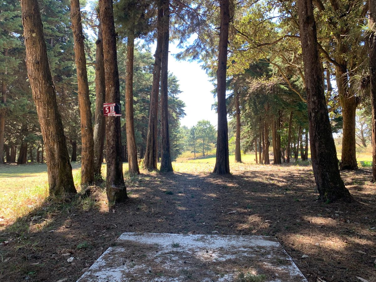 Hole #5 tee pad