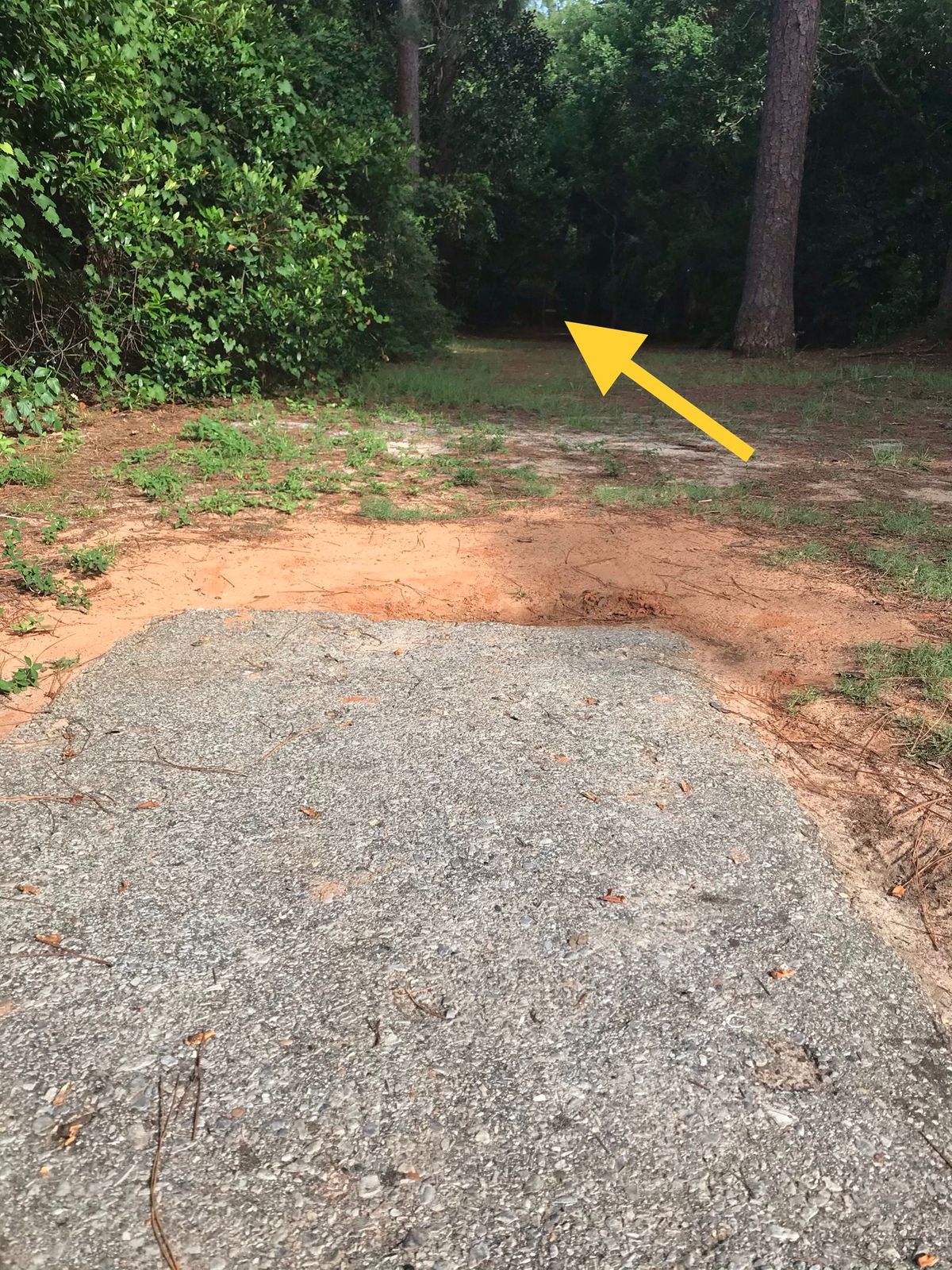 Amateur tee, 7th hole