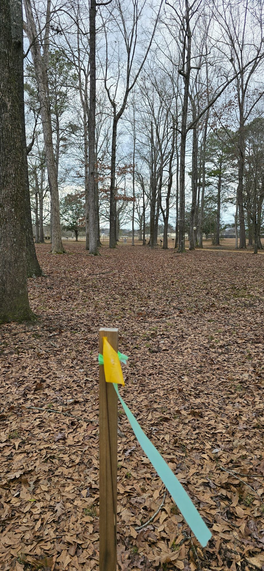 This is the tee location for hole 18.