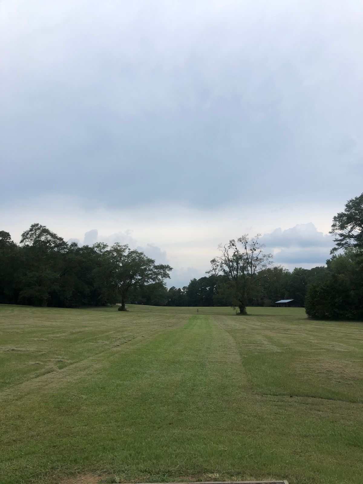 Hole 5