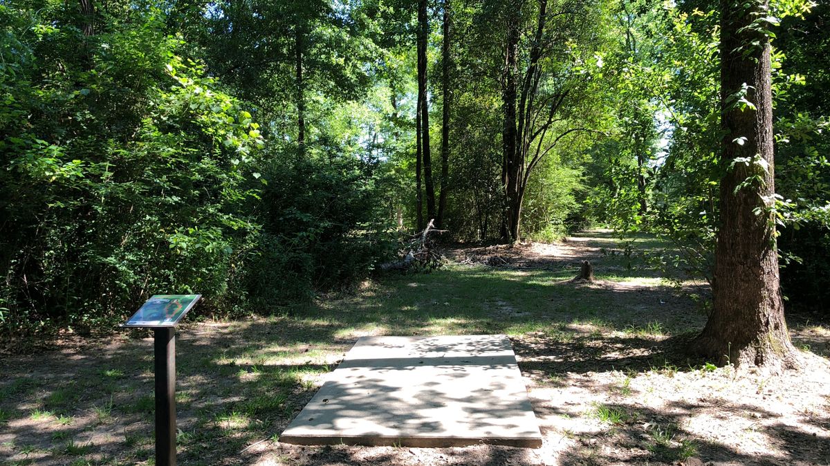 Hole 2