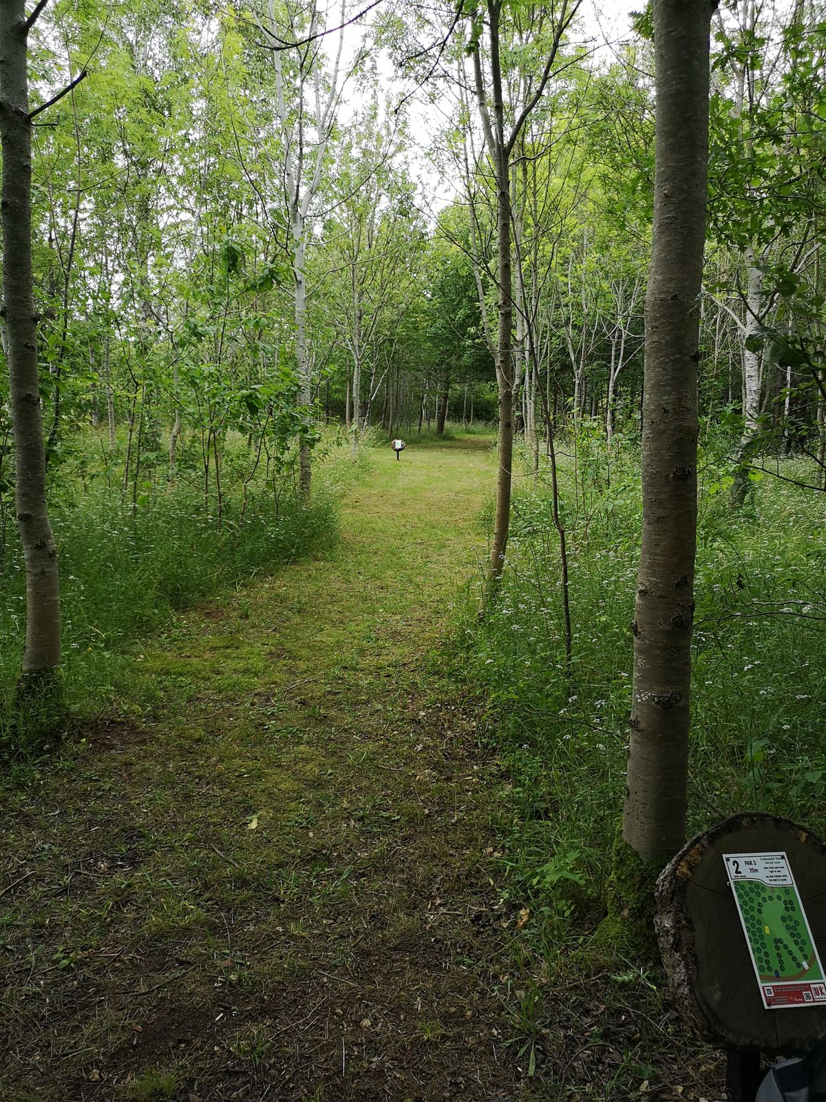 View from White Tee Hole 2