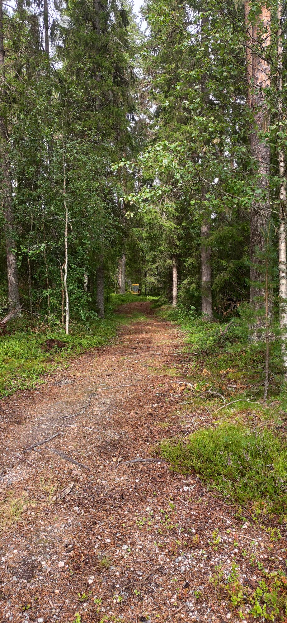 Hål 5