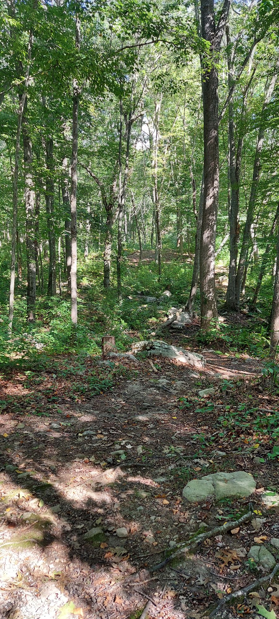Hole 1
