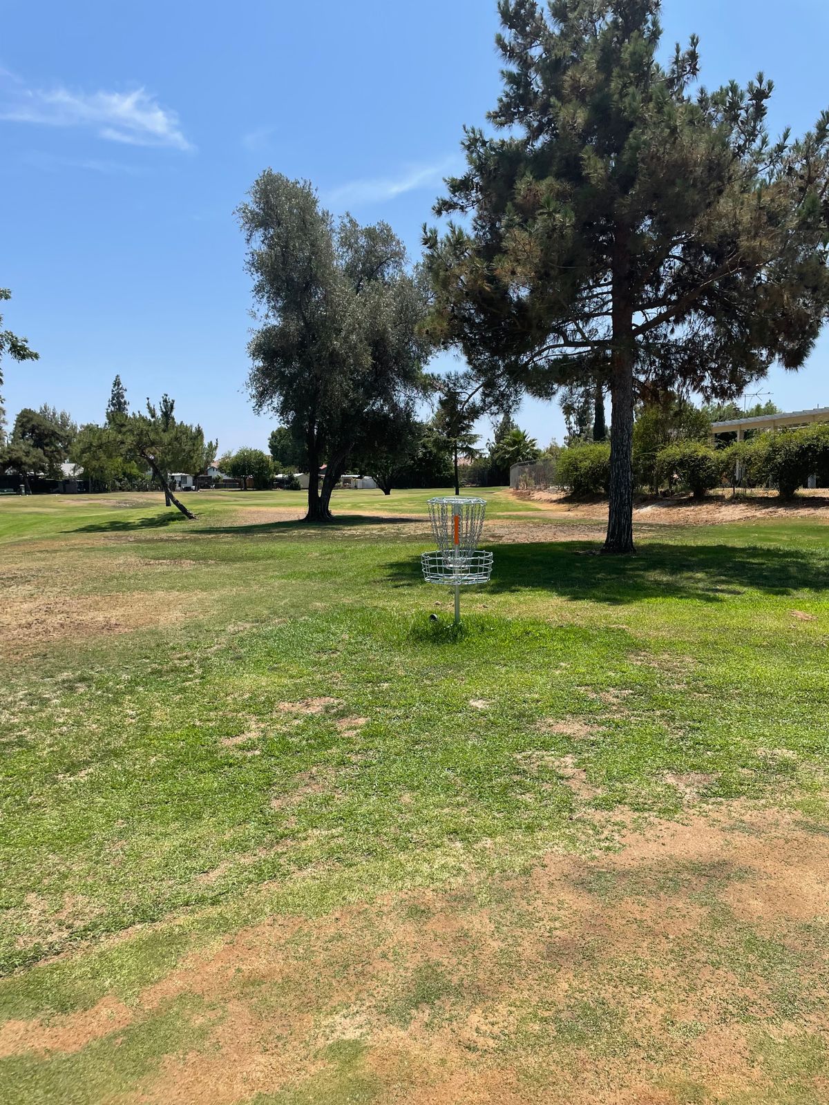 Hole 4 basket looking back. 13 past basket is OB