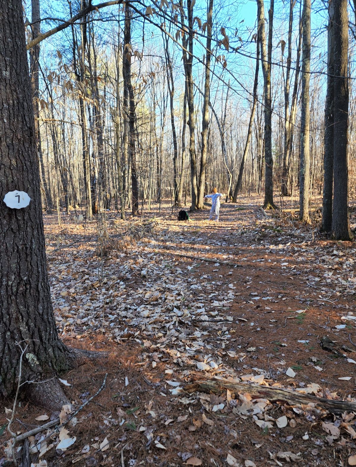 Hole 7.