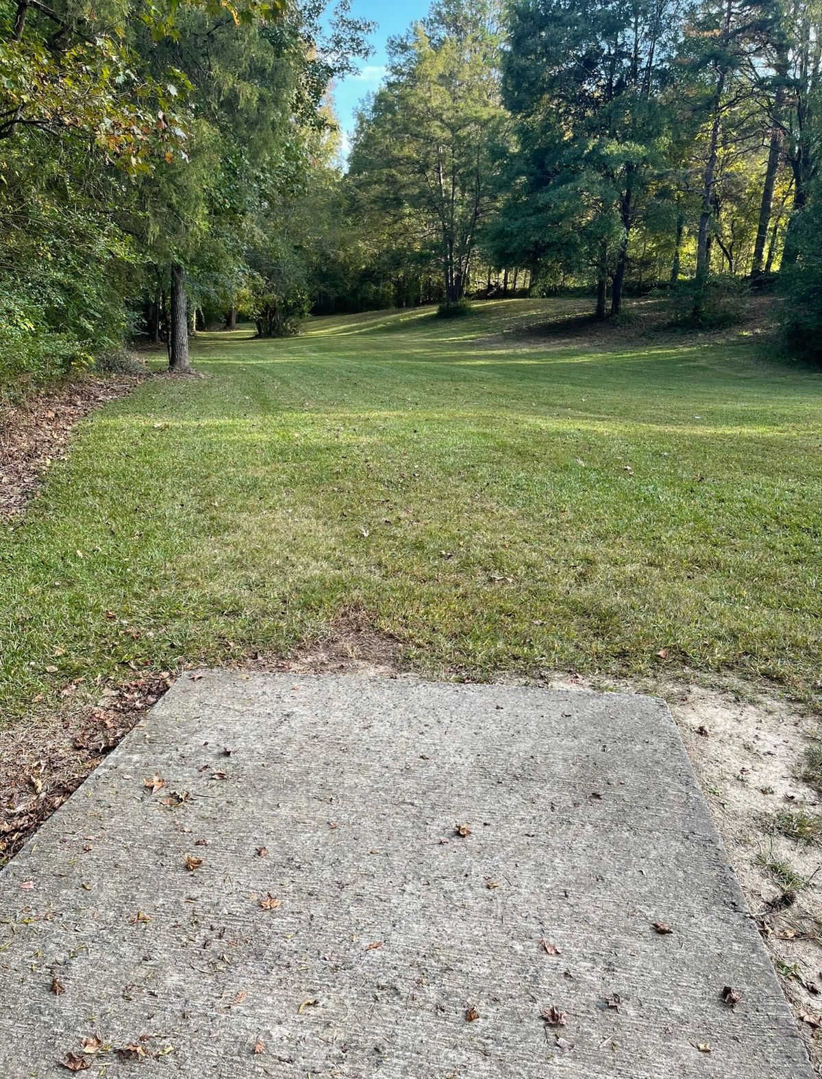 #4 fairway from short