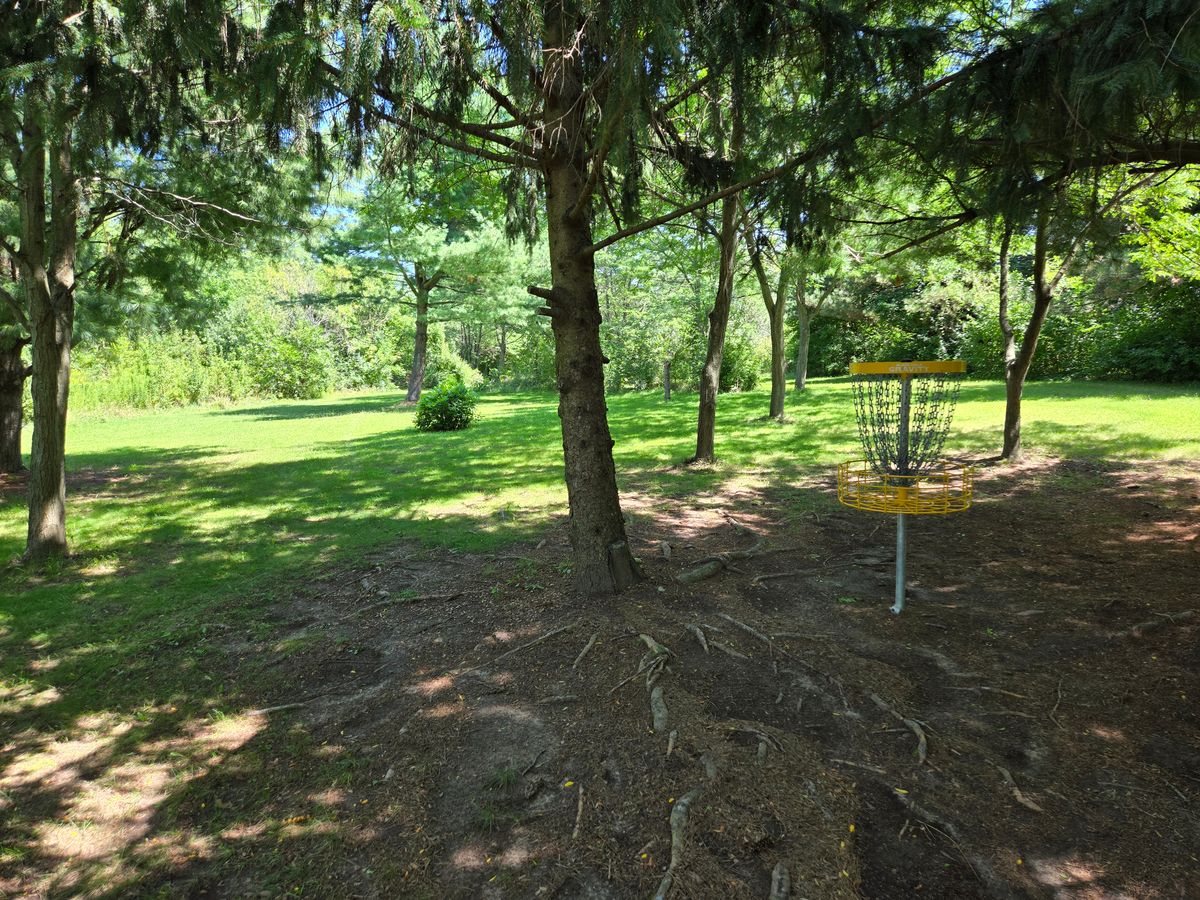 Looking back down the fairway