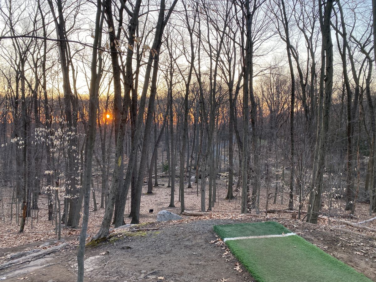 Tee 1