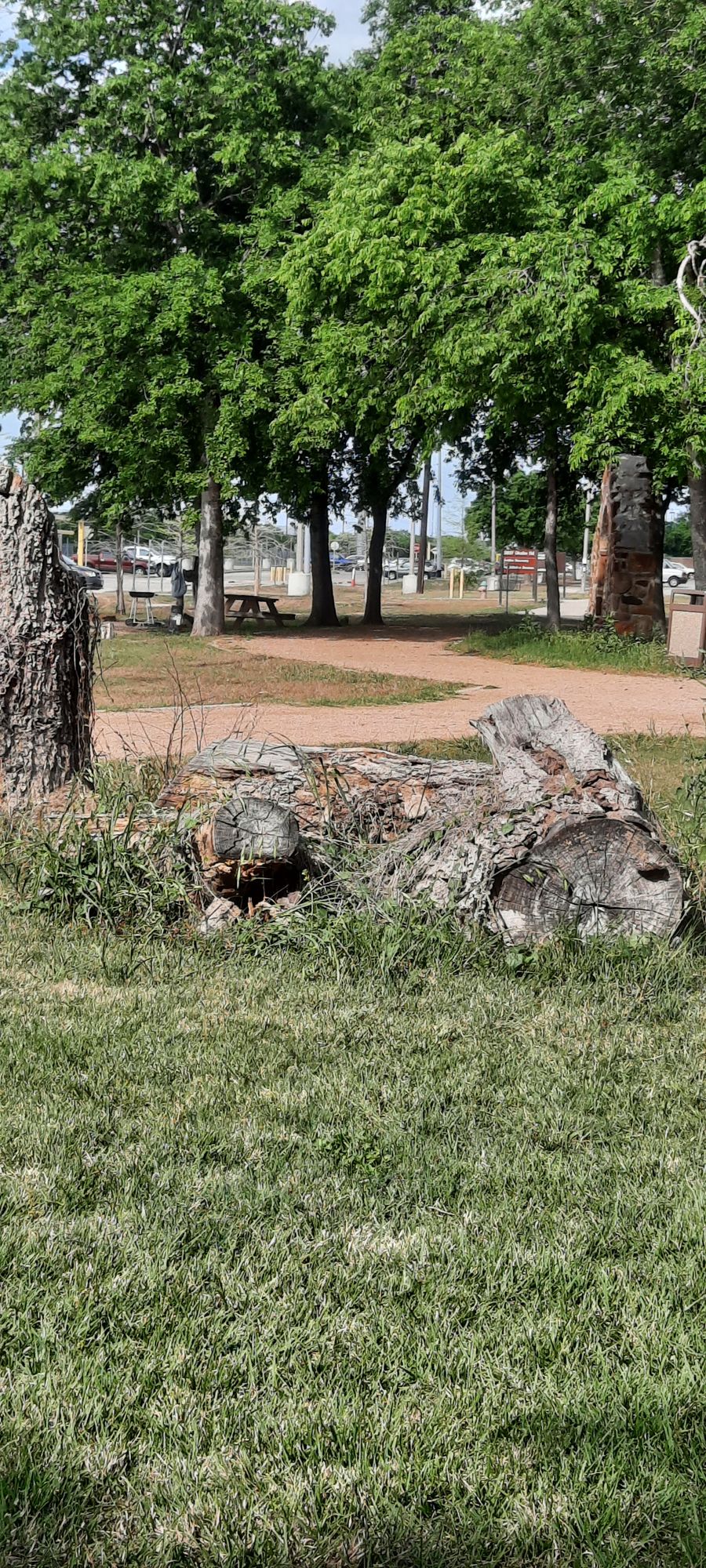 Hole 6 from teepad