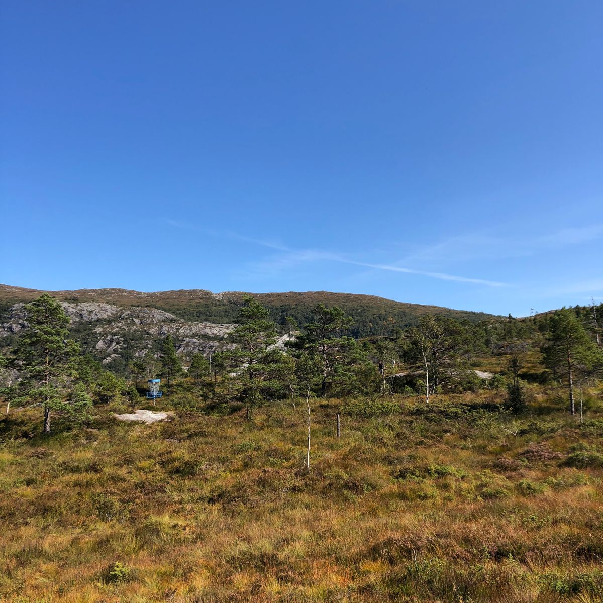View of basket 9 from Tee 1.
