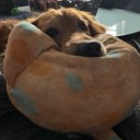 User avatar image