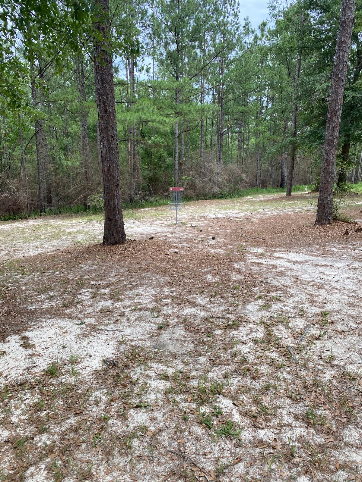 13th hole basket