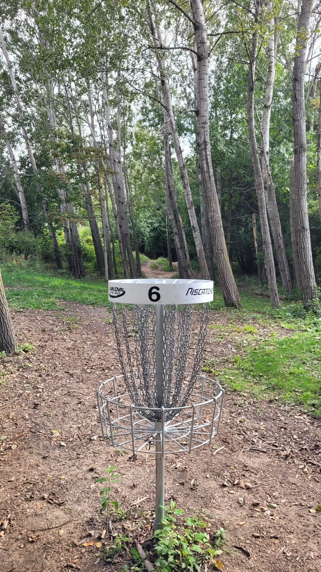 Hole 6 Basket