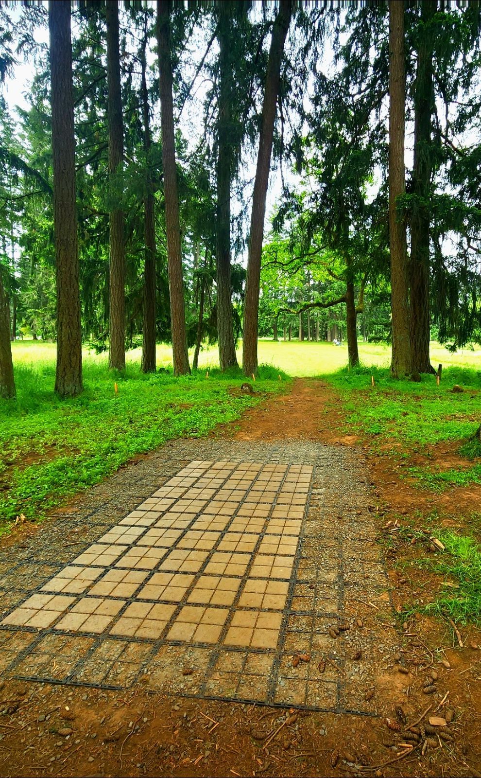 Hole 10