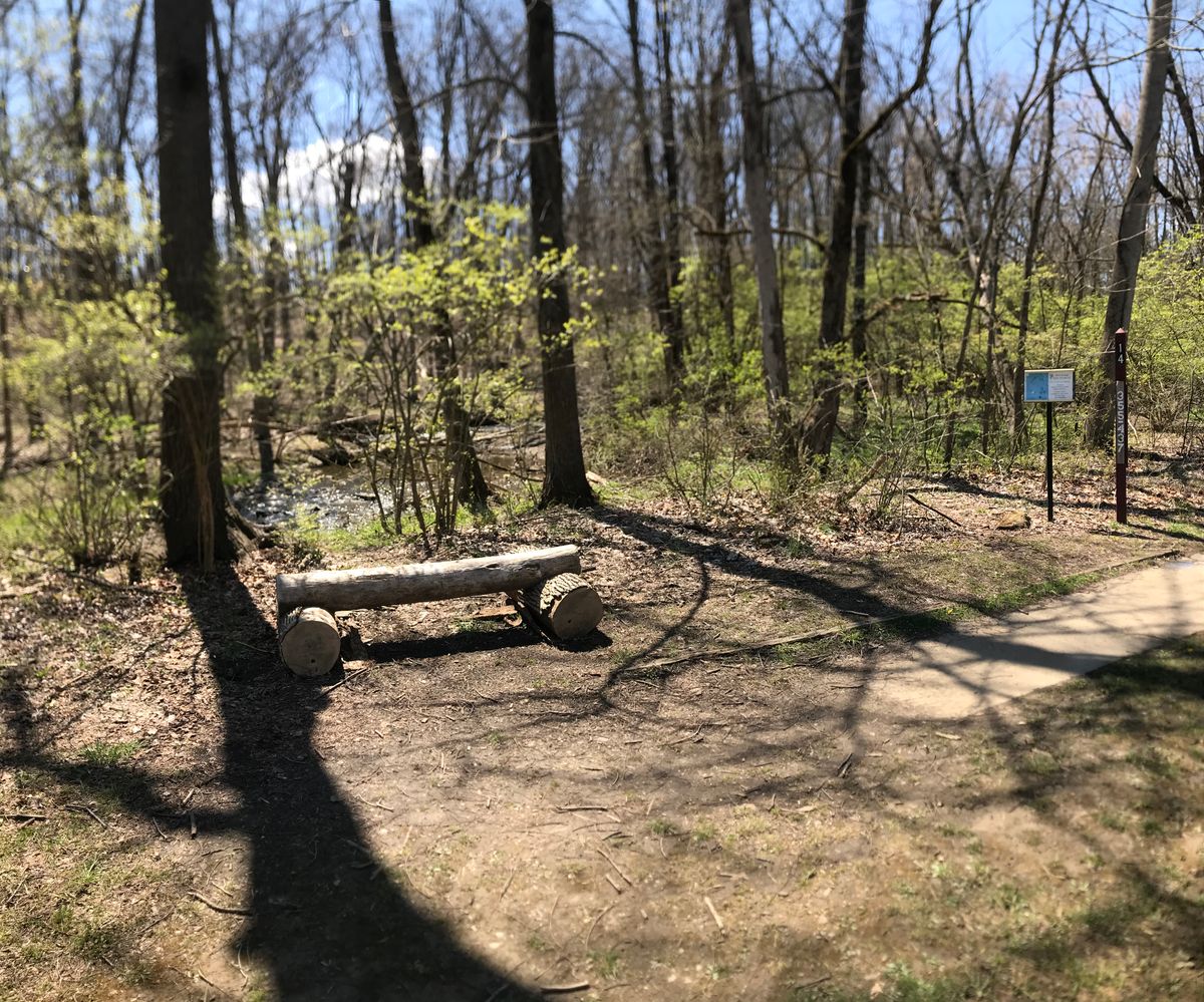 Hole #14 Tee Area