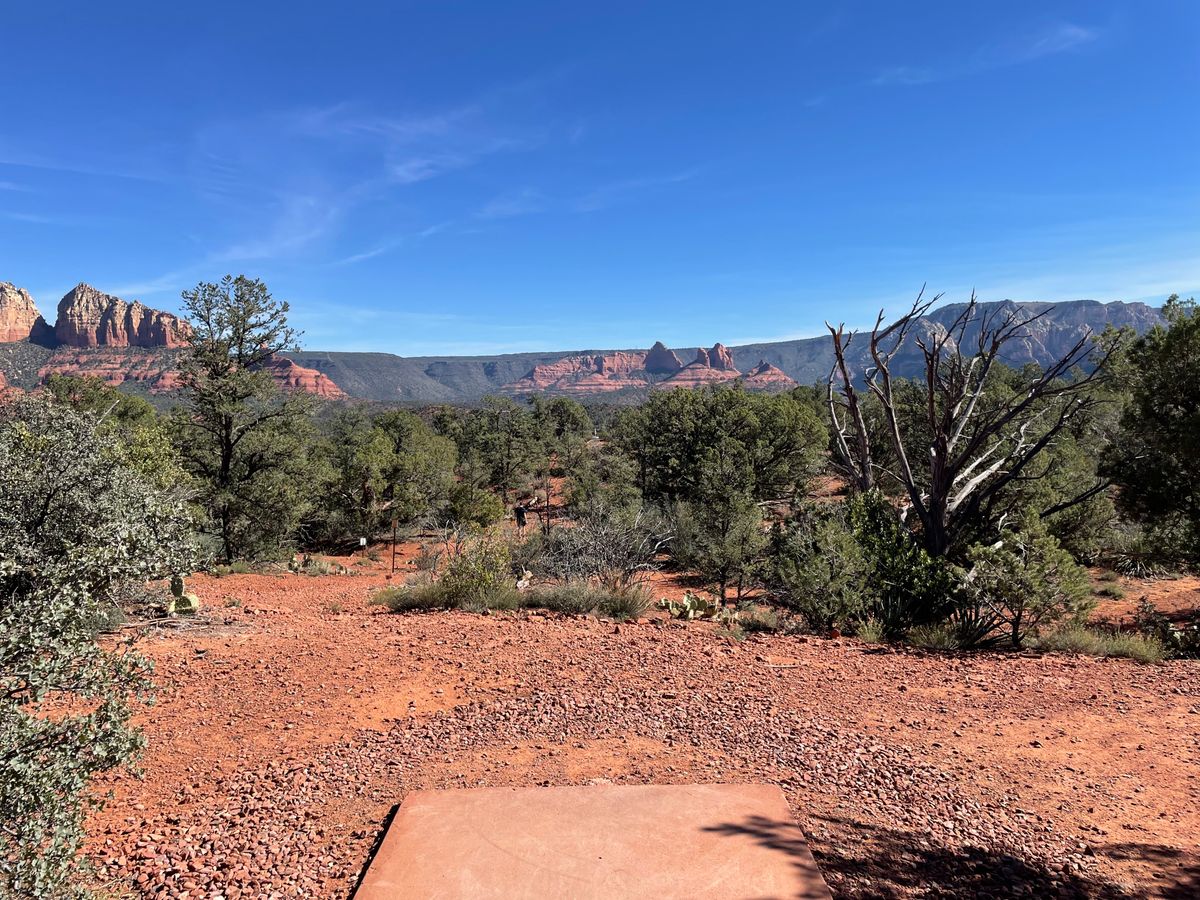 View from tee pad for hole 9/18
