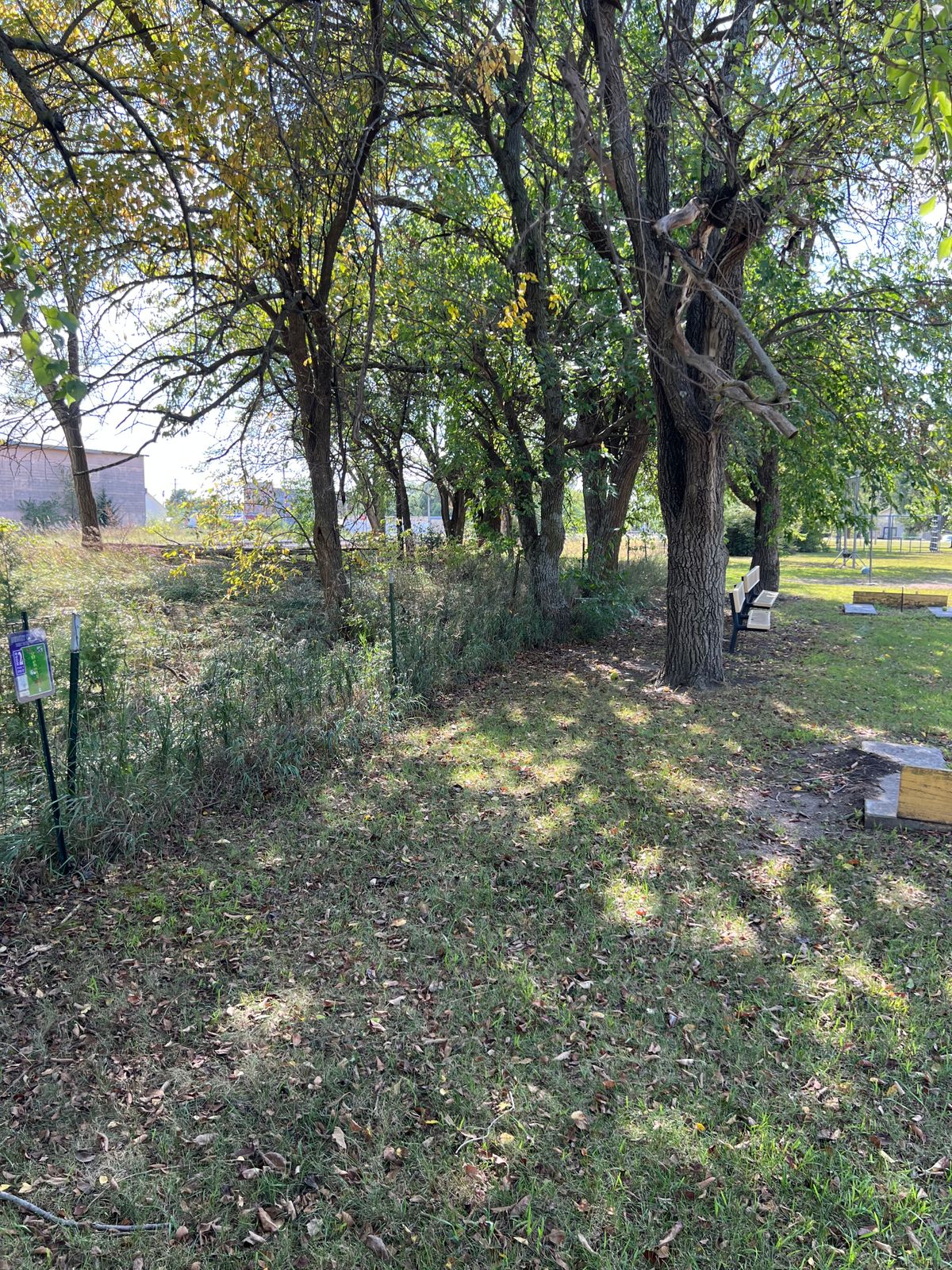 Hole 2, in the bushes