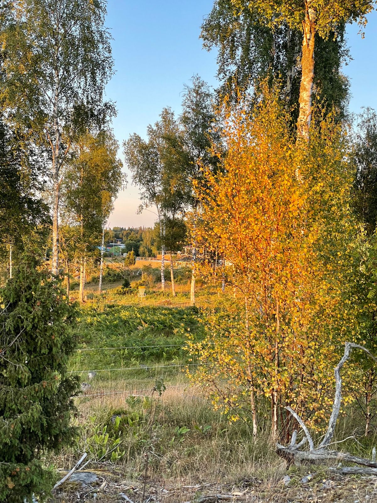 Hål 7