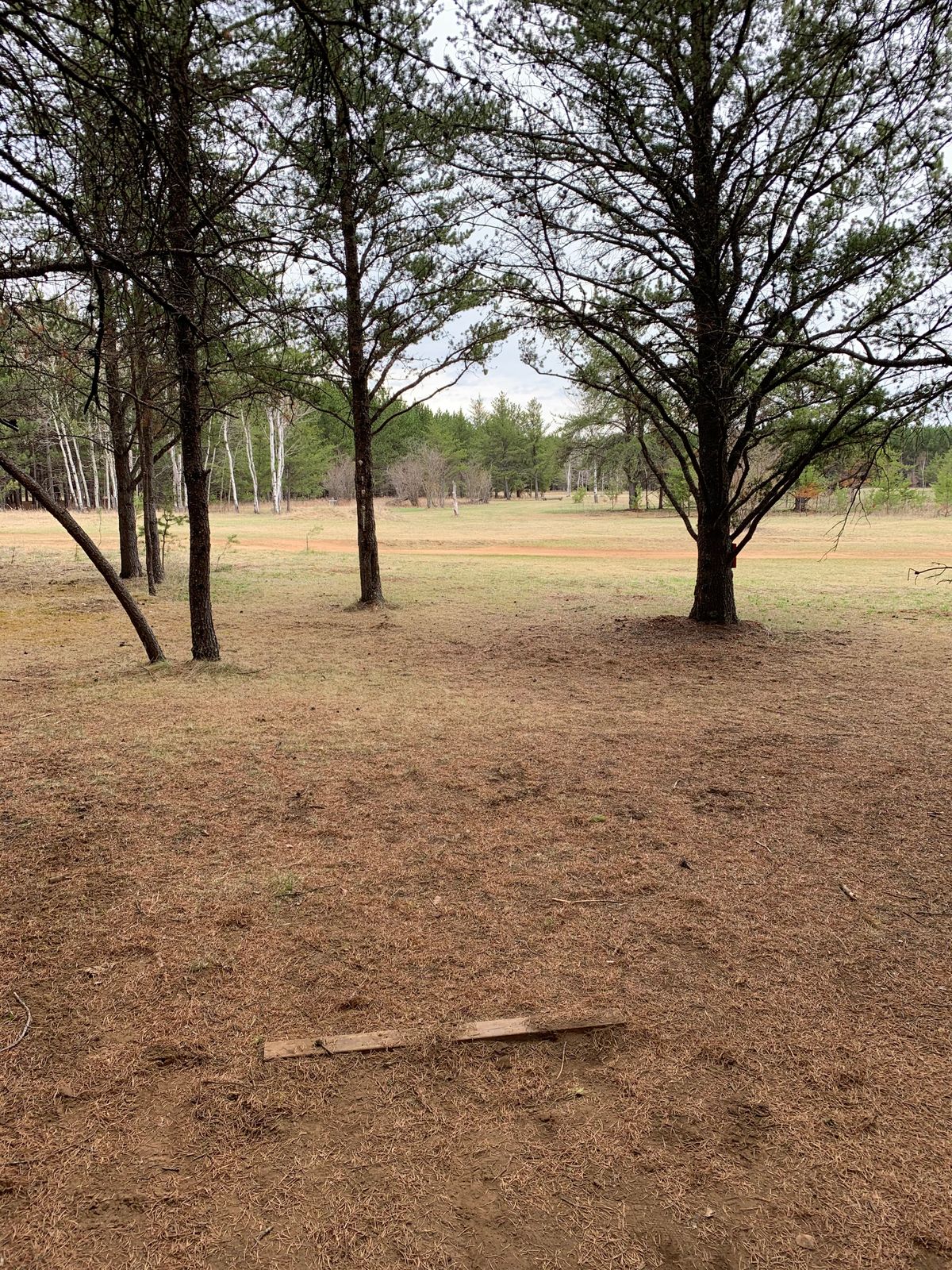 Hole 4 tee box (short)
