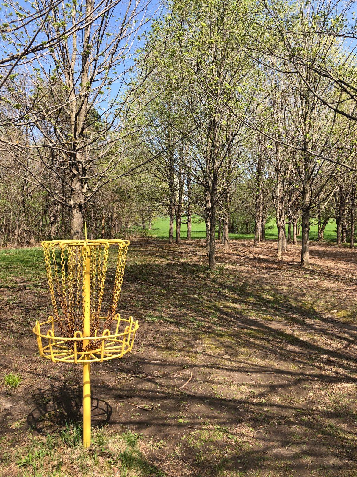 Basket 2 looking back at hole 2 fairway