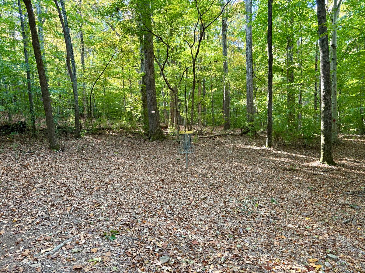 Hole 6 approach