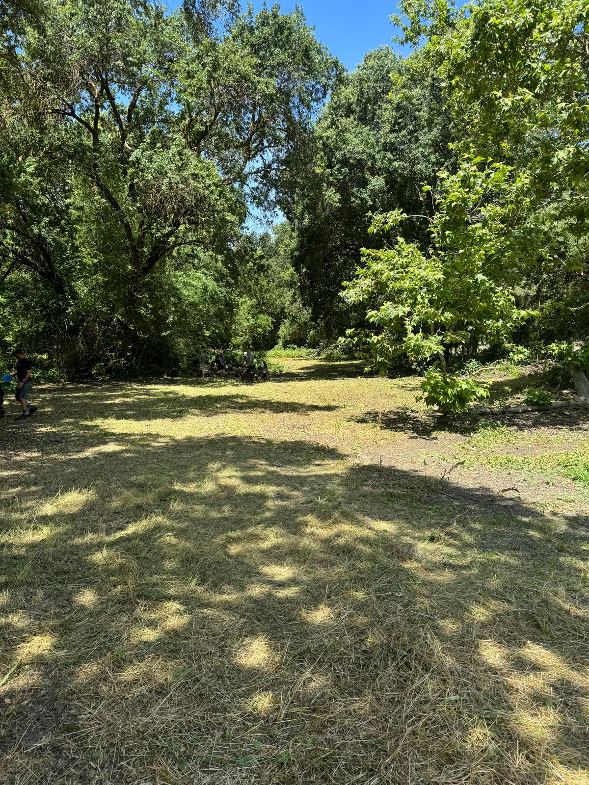 Hole 6's fairway. 
