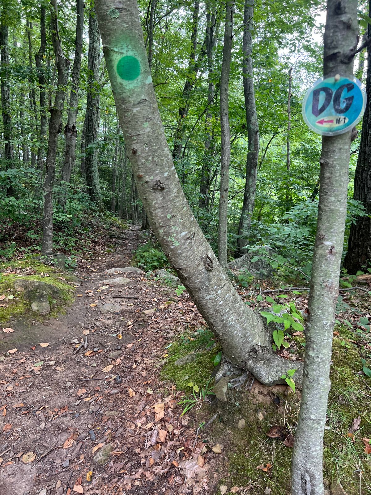 Follow the path to the left of the parking lot to locate the first tee.