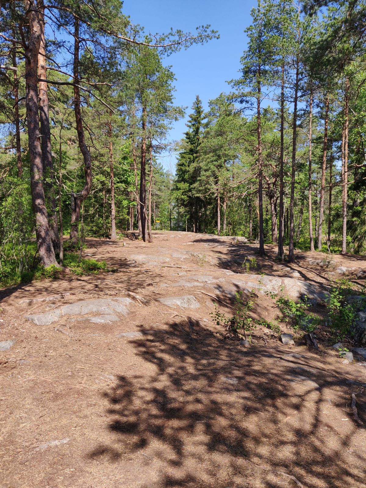 Väylä 5 lisäkuva pienen kallion reunalta