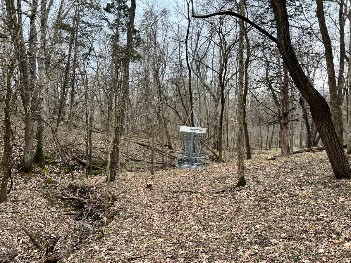 O12b hanging basket. Looking back toward tee