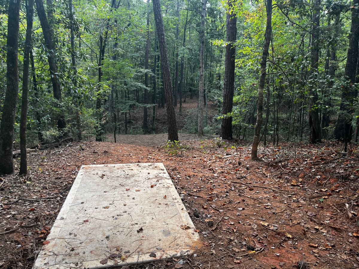 Hole 4 tee box