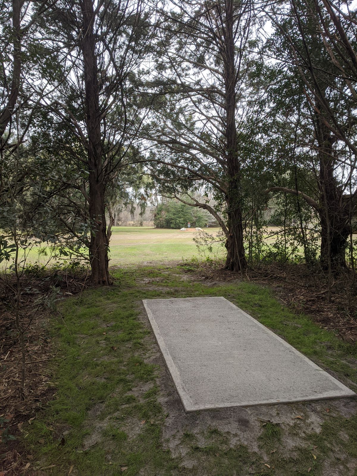 Hole 5