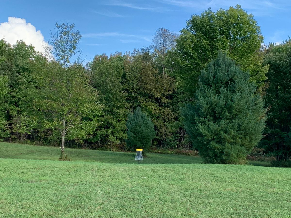 Hole 8 approach
