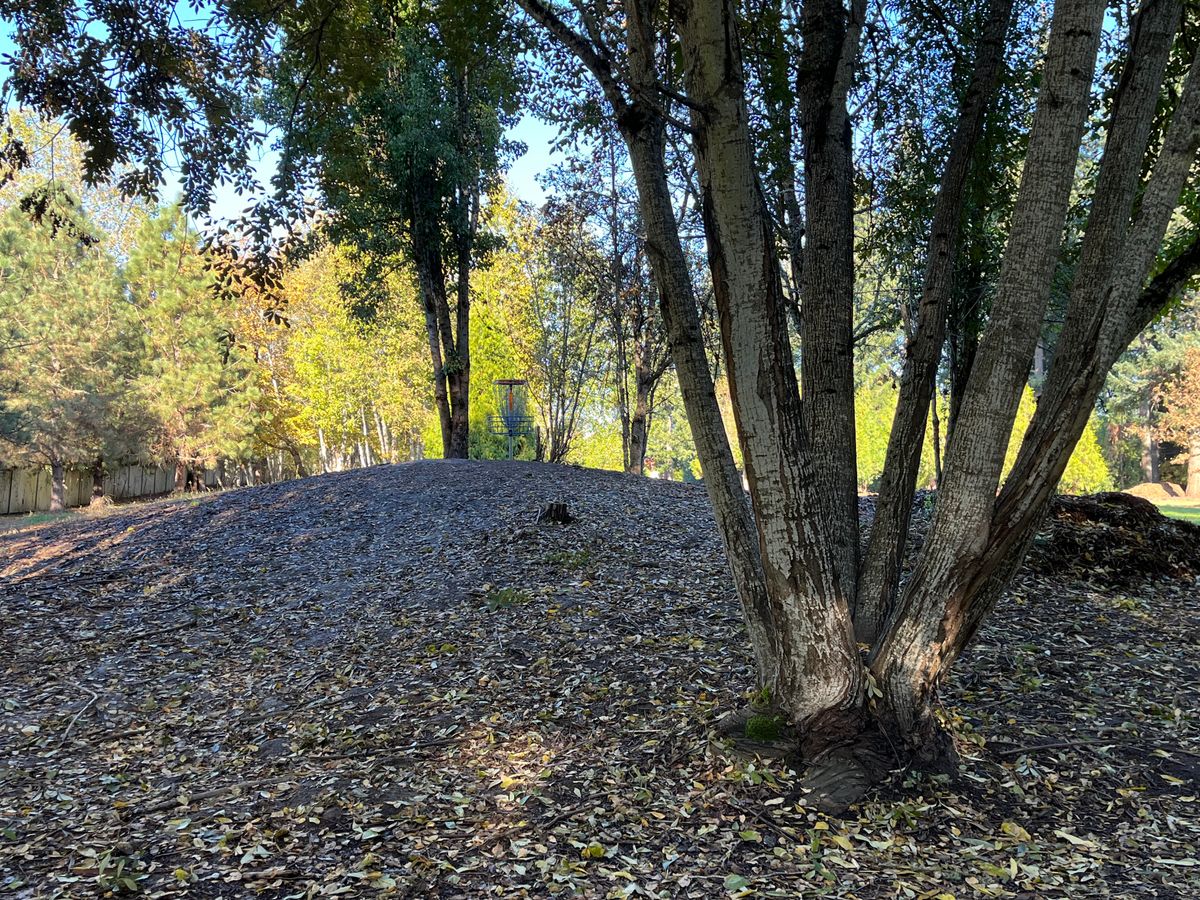 Hole 6’s new green is punishing and well protected. Love that you can watch people putt from 7’s tee