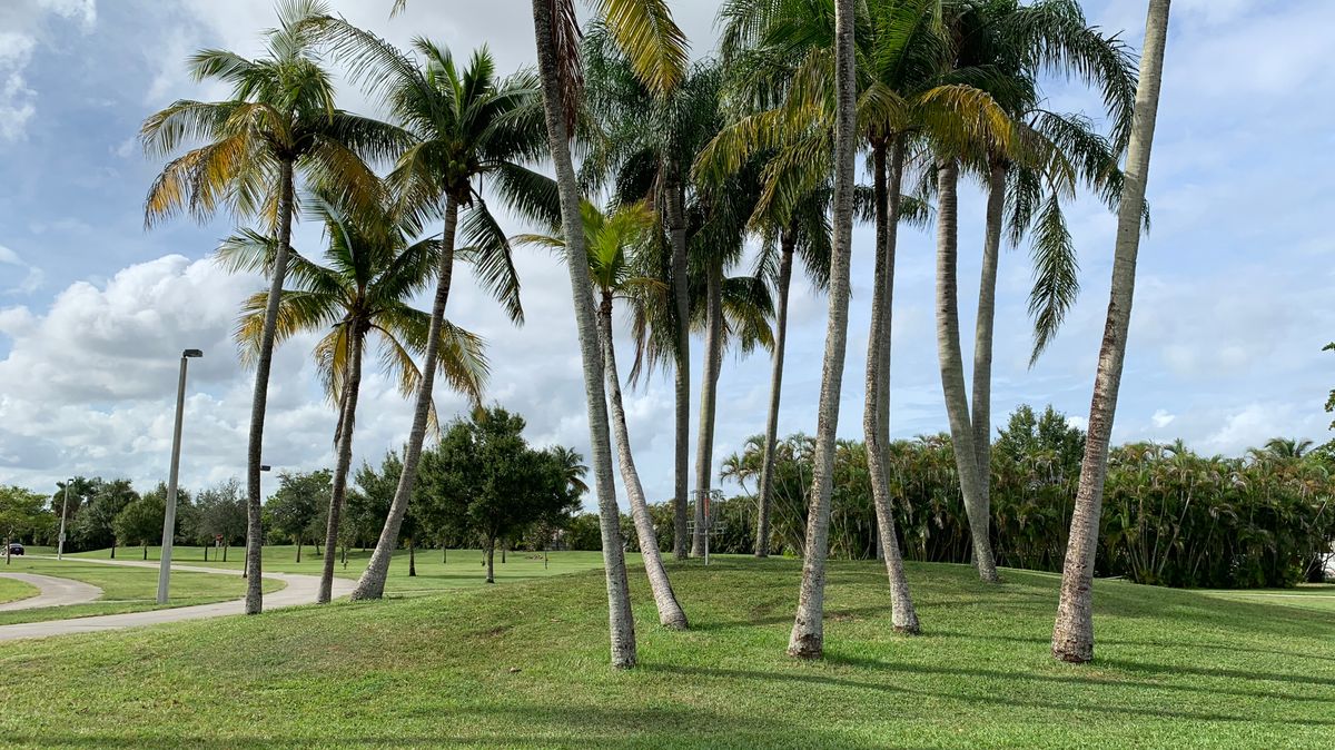 Hole 1