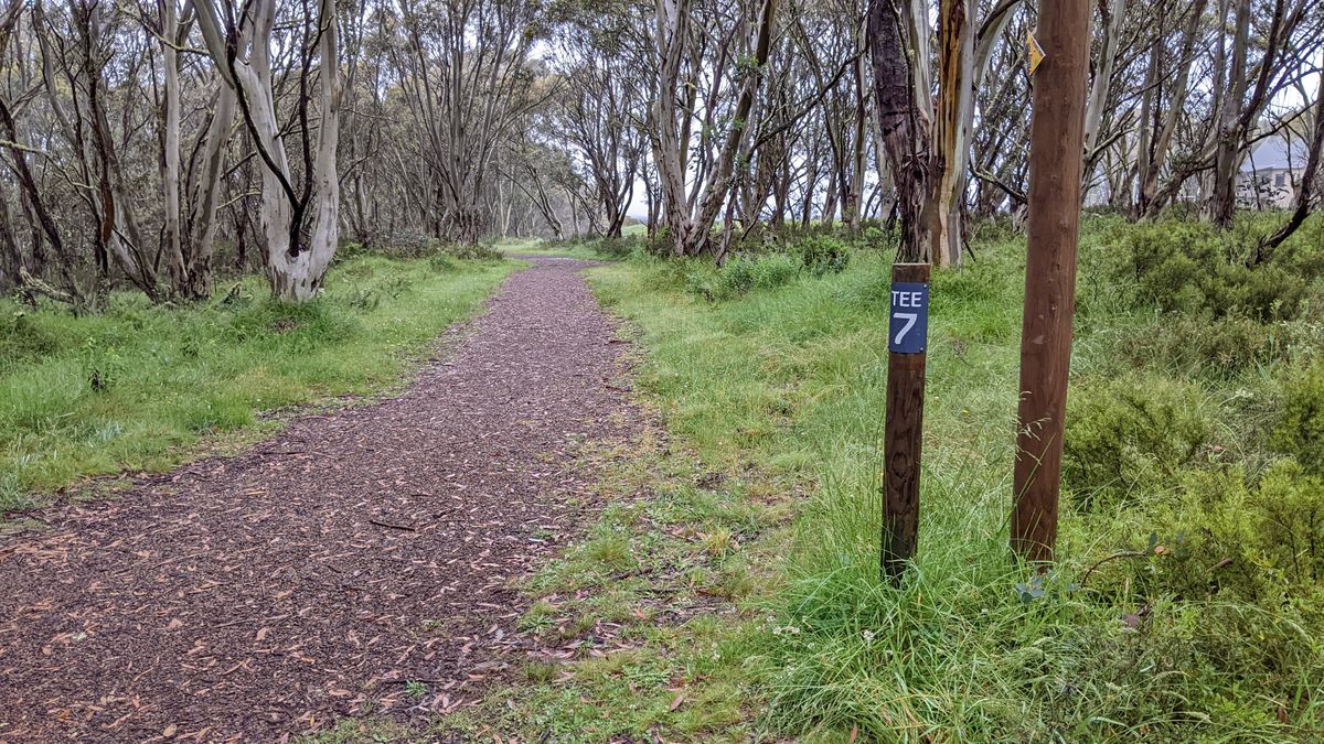 7th tee - the trail pole marker at the corner is a mando (must stay left), otherwise add penalty & play next shot from the trail corner