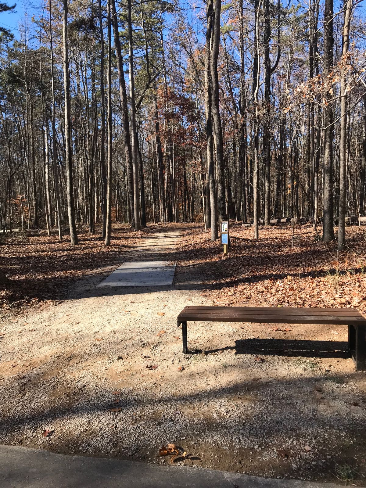 Hole 10 tee