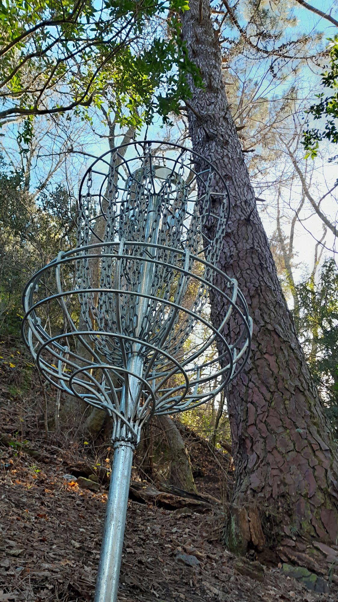 Hole 10 basket