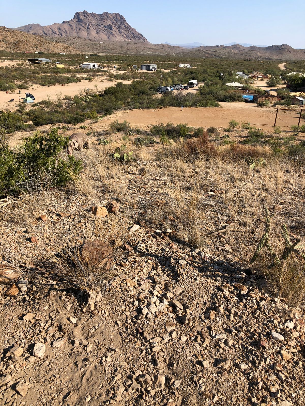 Looking down from the 9th tee to the finishing basket