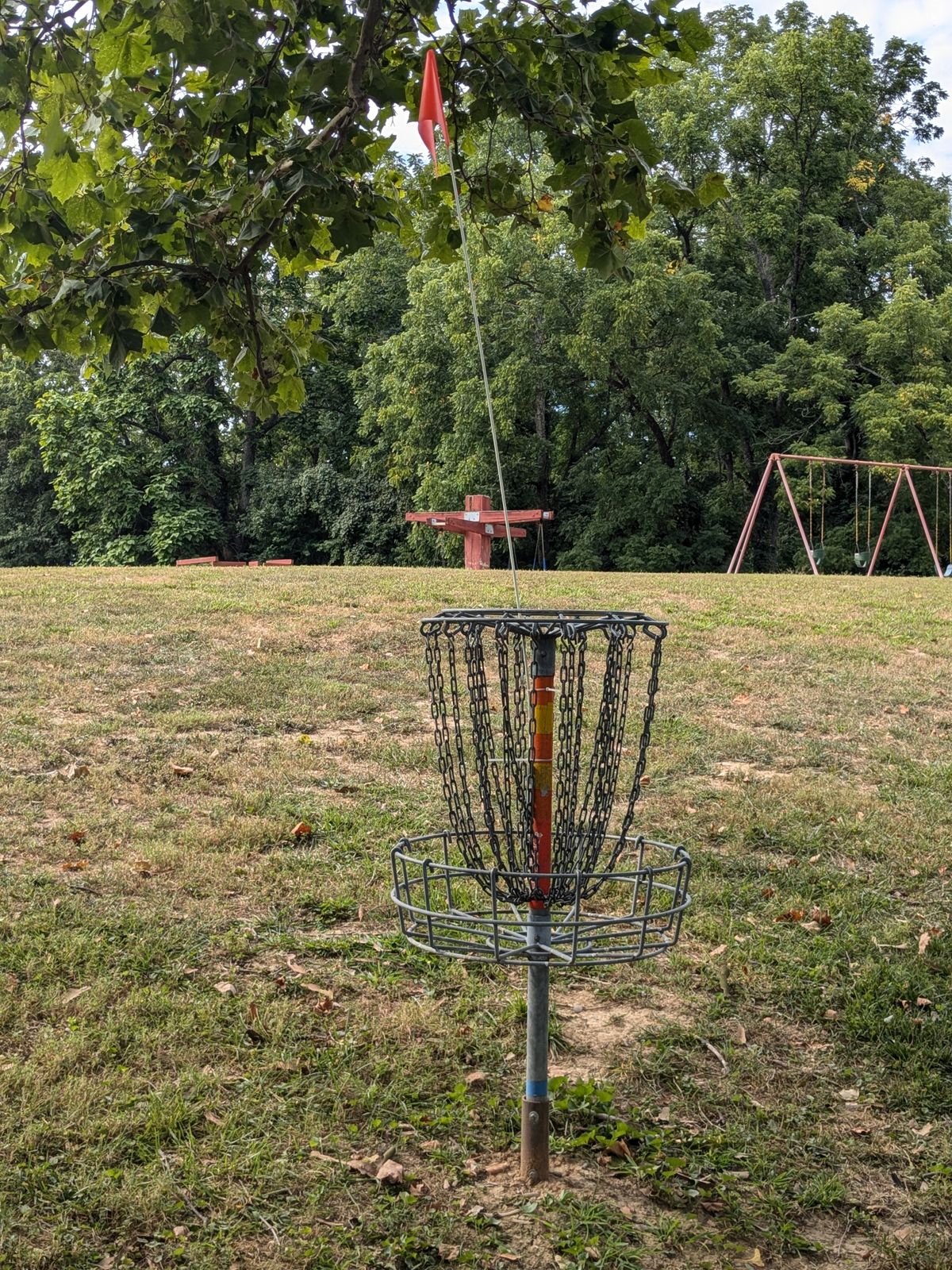 Hole 7 basket