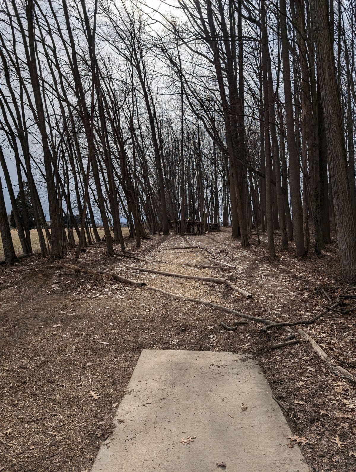 Hole 4
