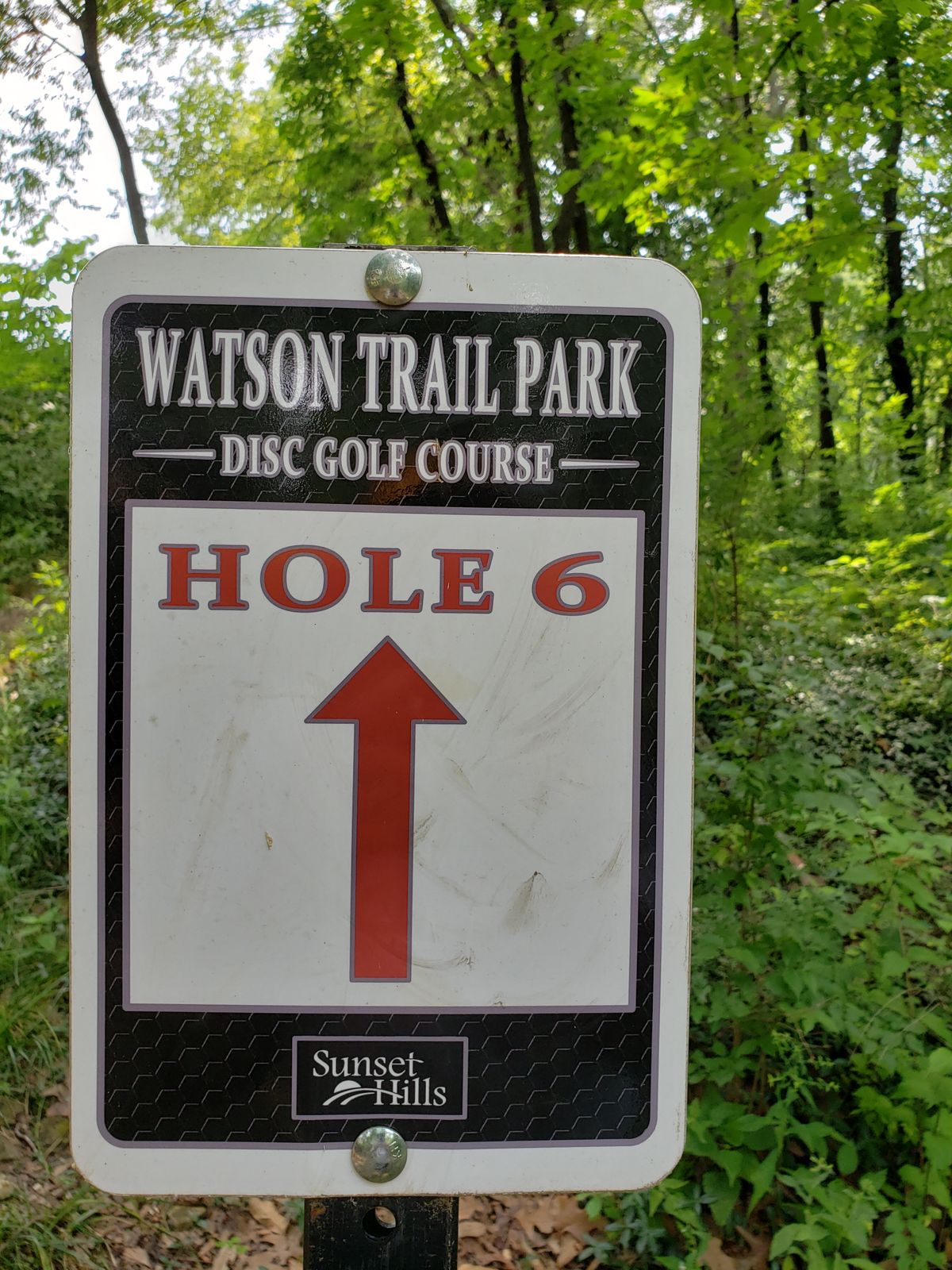 #6 Directional sign