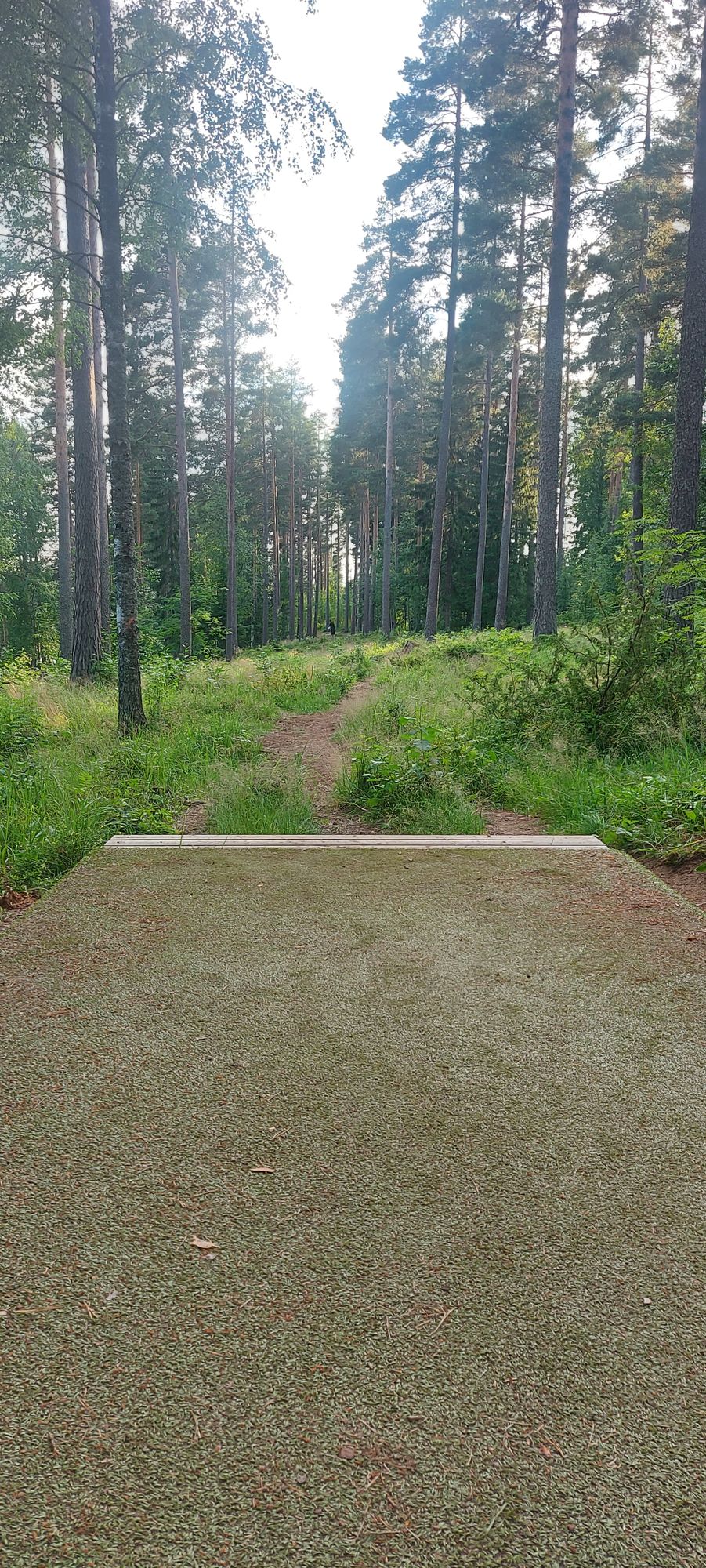 Tarinalaakso New Course tee 10