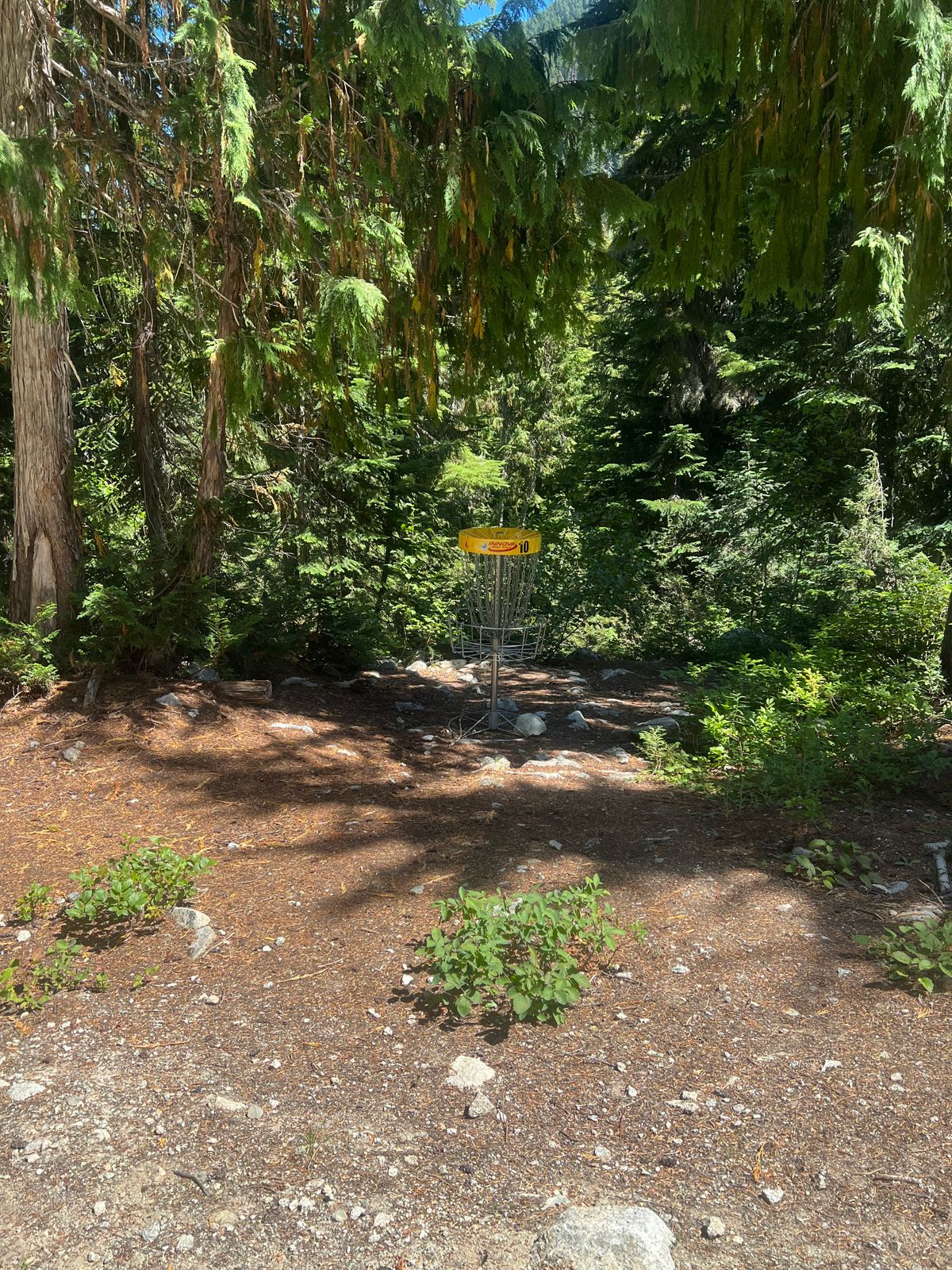 Hole 10 basket.