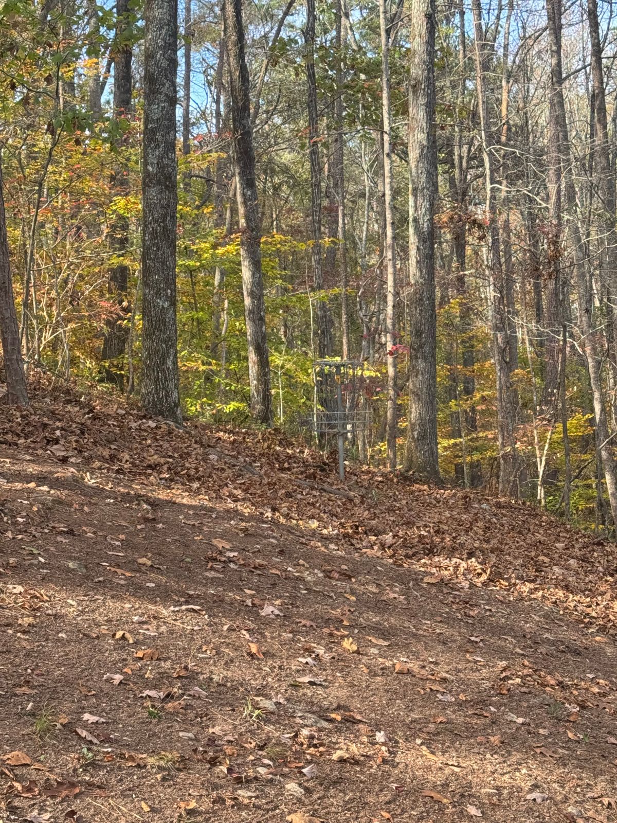 Hole 2 Basket