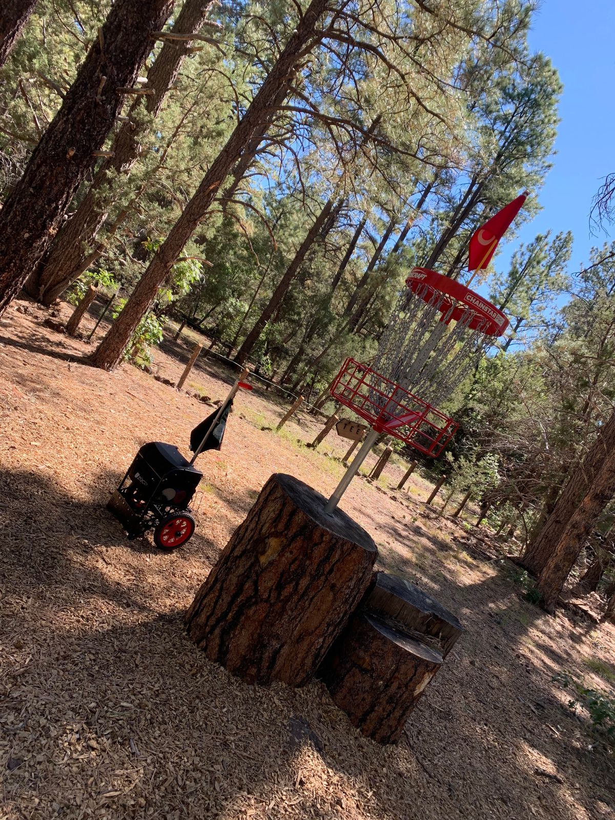 Cart friendly but you should expect typical rough spots. 
It is in the woods.