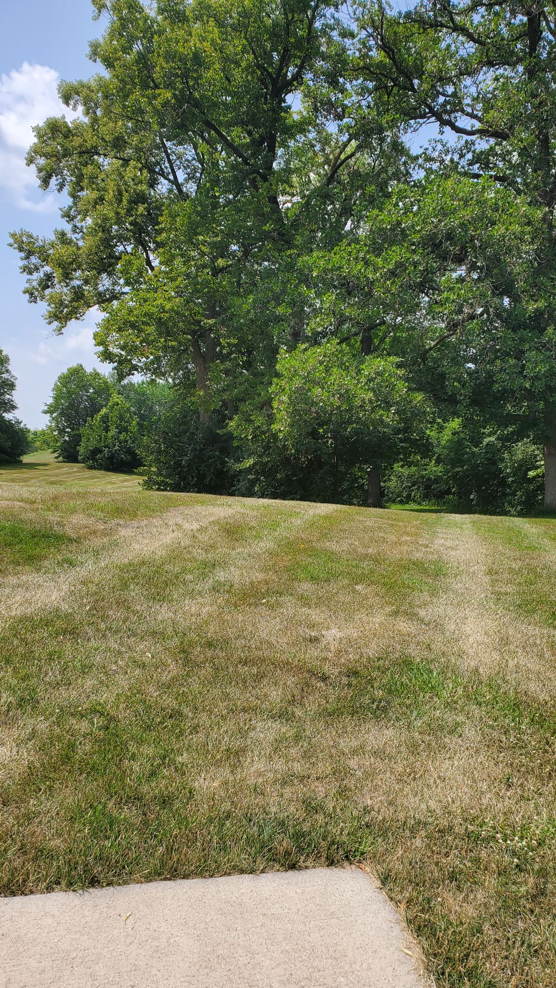Hole 2 tee. Hole is bend group of trees