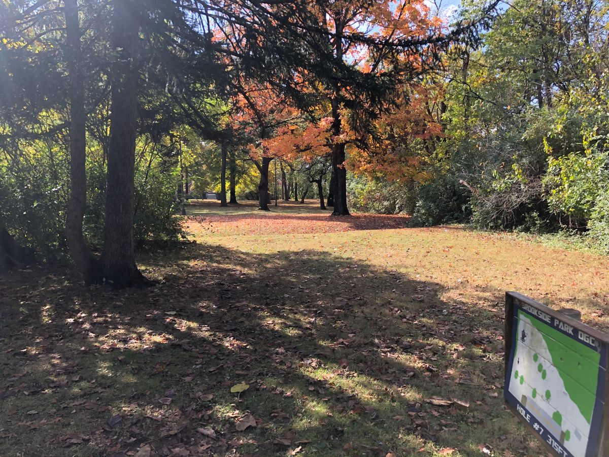 Hole 7 from the tee