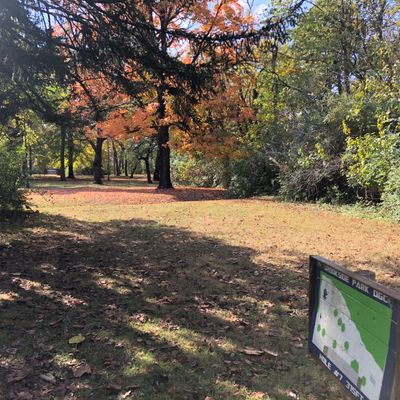 Hole 7 from the tee